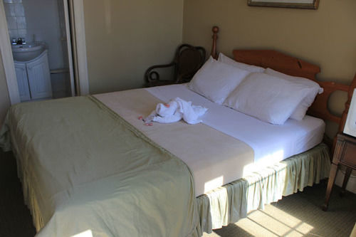 E-Lodge Near The Falls Niagara Falls Exteriör bild