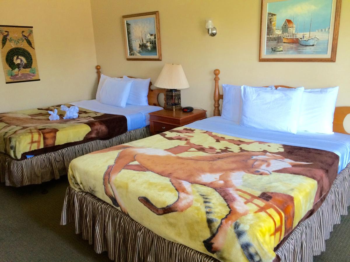 E-Lodge Near The Falls Niagara Falls Exteriör bild